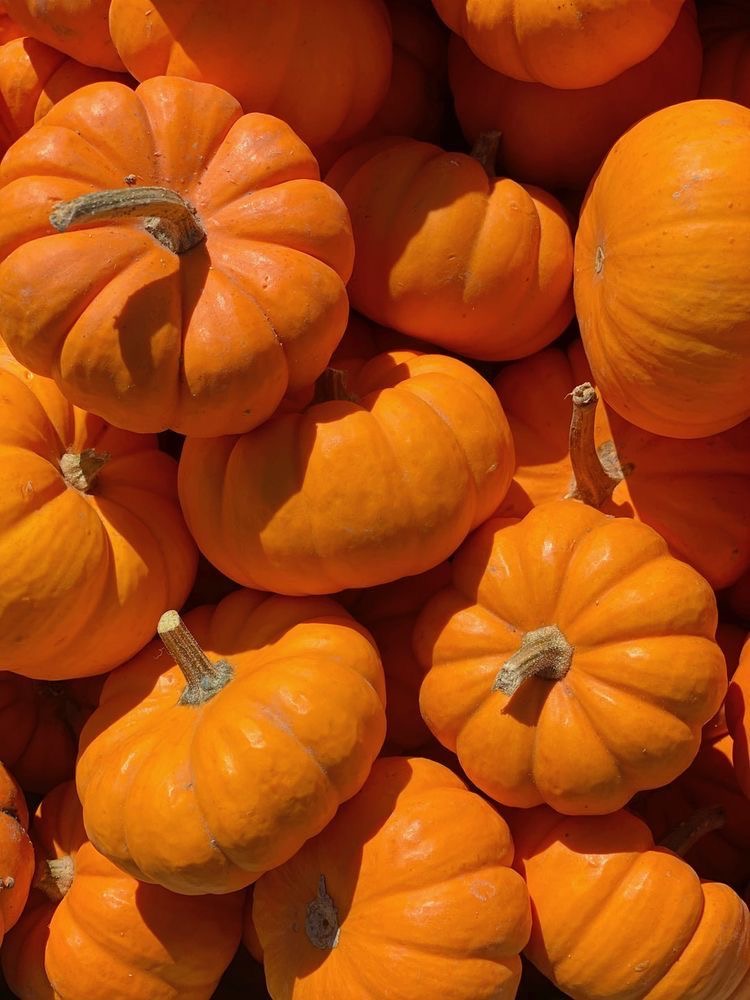 Pumpkin Facial