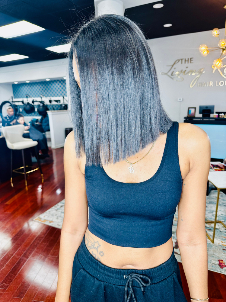 Silk Press (hydration) Treatment)
