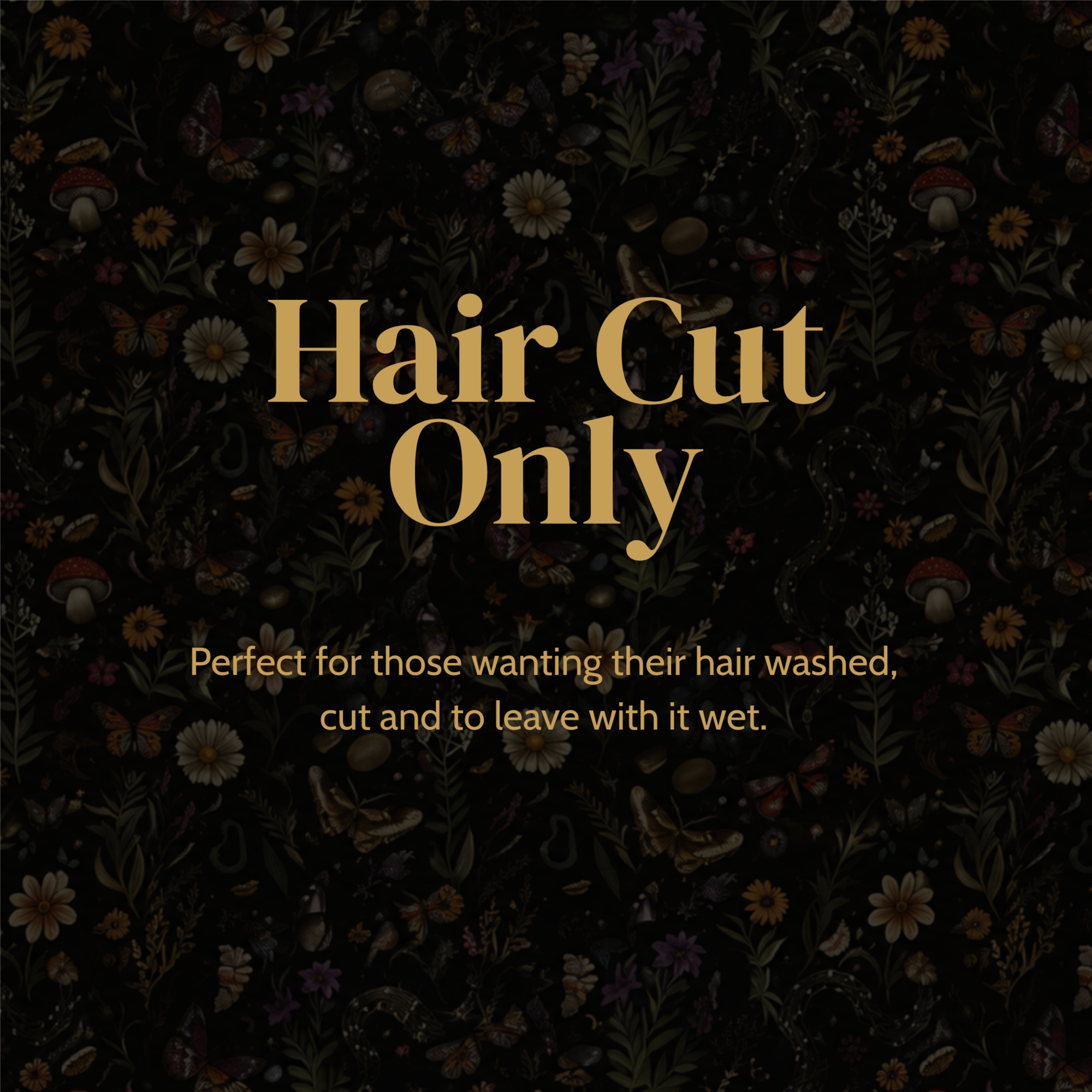 Hair Cut at Meraki Beauty & Barbering in Egg Harbor City, NJ