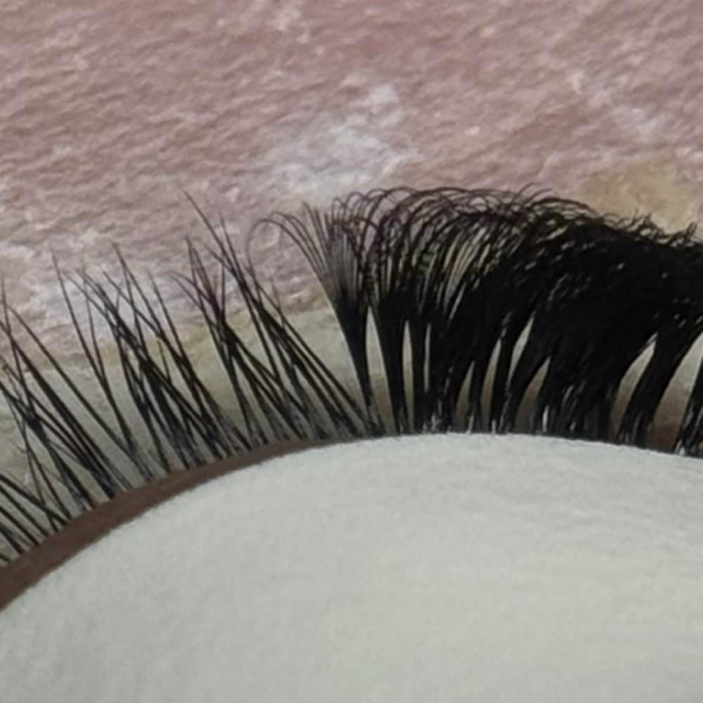 Signature Fill (Existing Only) at Jomeli Lash LLC in Woodbridge, VA