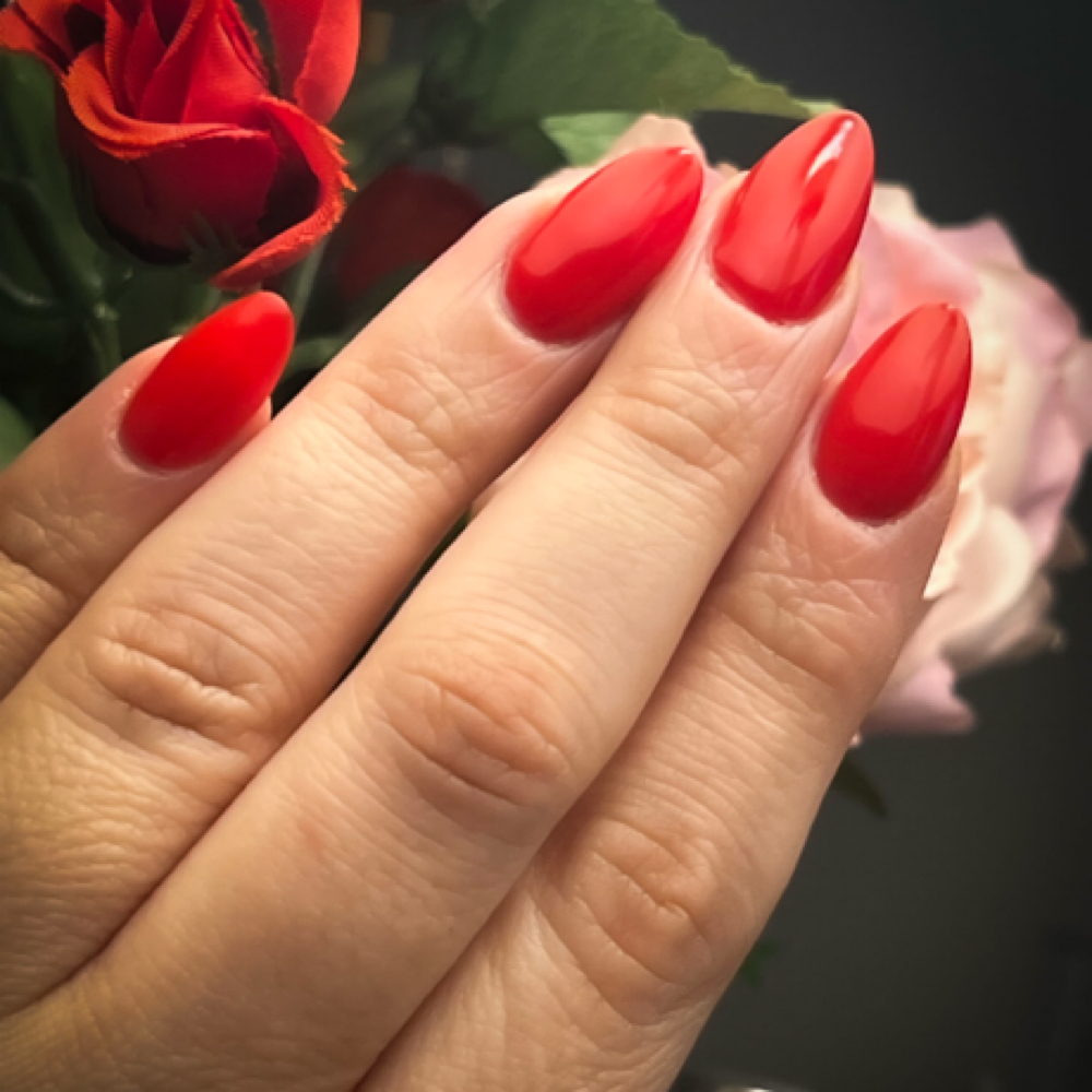 Gel Overlay / Gel - X Solid color at VW Beauty Salon in Geneva, IL