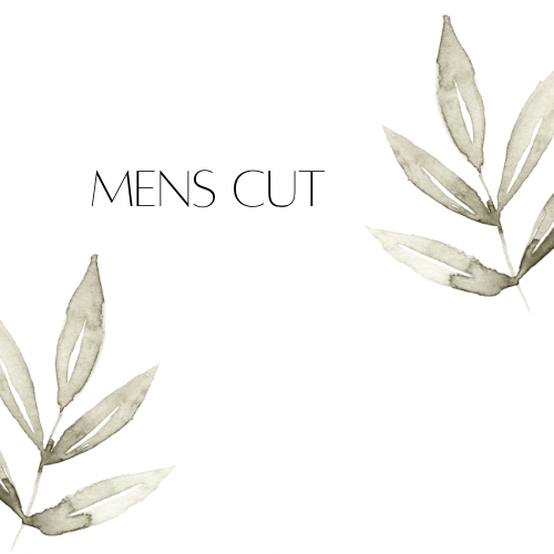 Men’s Cut
