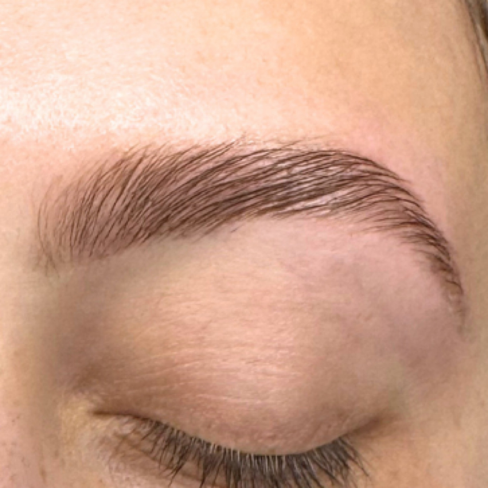 Coastal Brow Shape & Tint at Seaweed + Pearl in Midlothian, VA