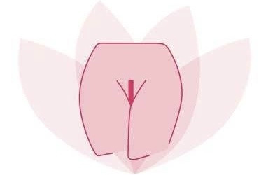 Bikini Full (Women Only)