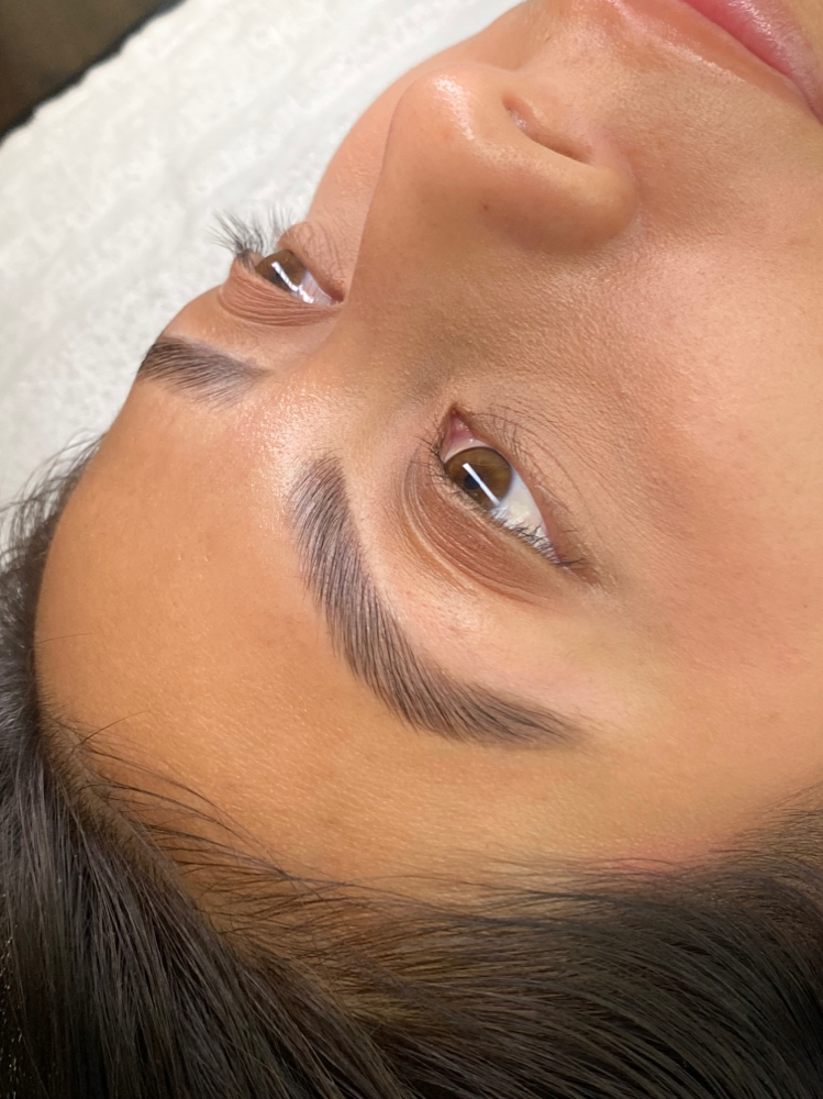 Brow Trio (lami, tint, wax)