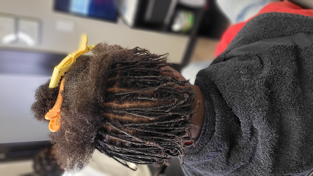 Small Starter Locs