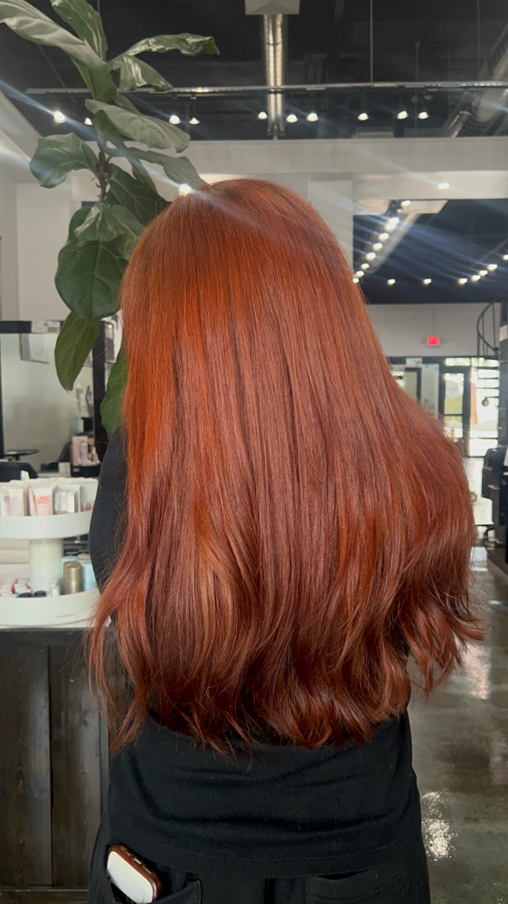 All Over Color at Hailey Guti Hair in Orcutt, CA