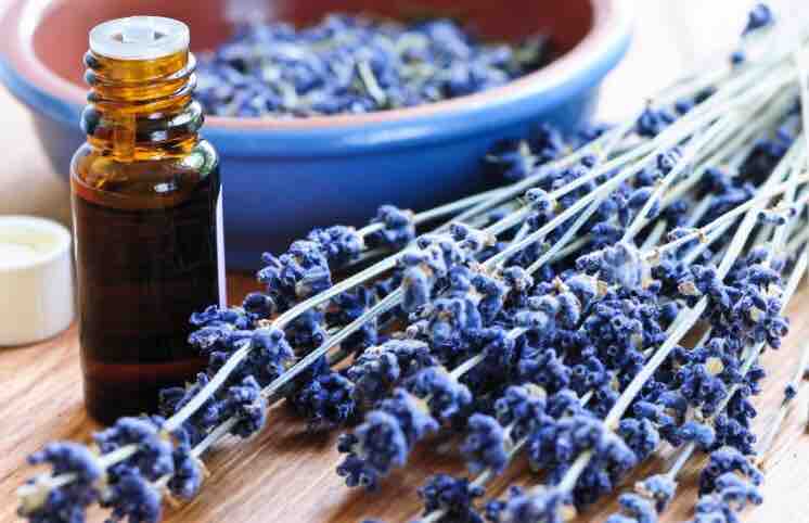 Lavender Oil Scalp Massage