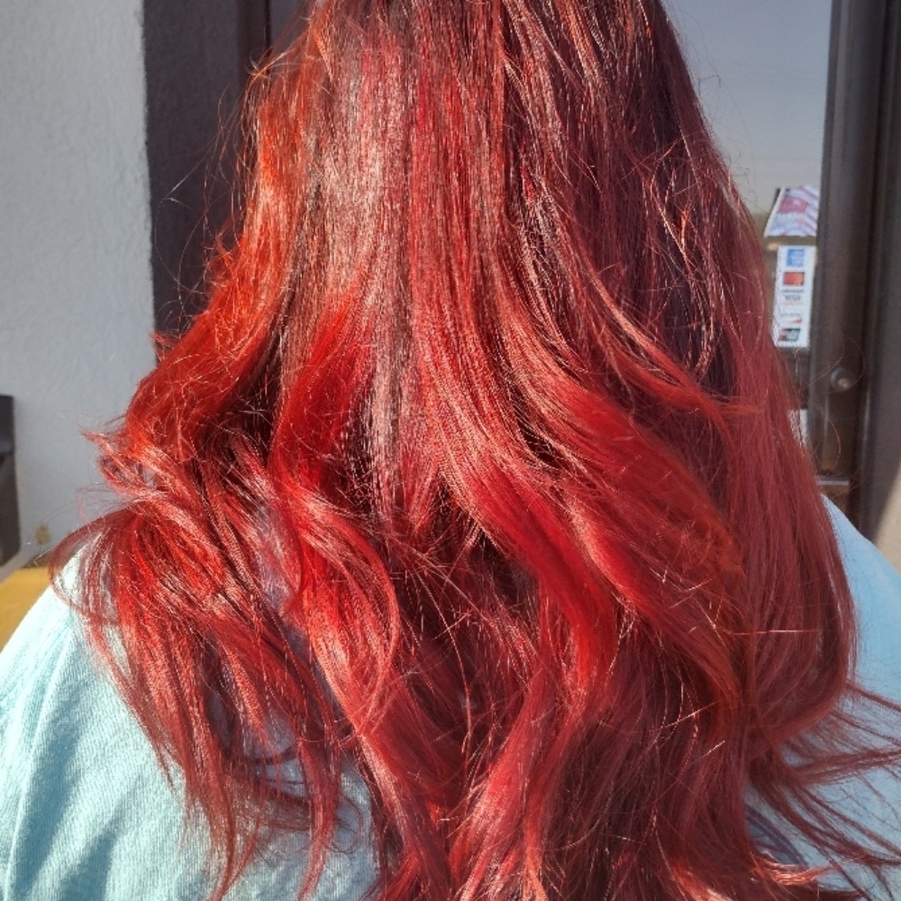 All Over Color By Kara at Beauty And The Beard Salon in Mcminnville, TN