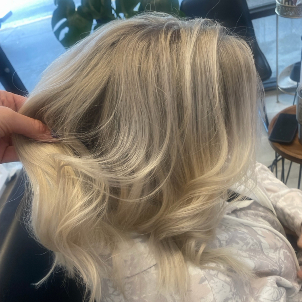 All Over Blonde Retouch at LunarFlameHair in Palm Harbor, FL