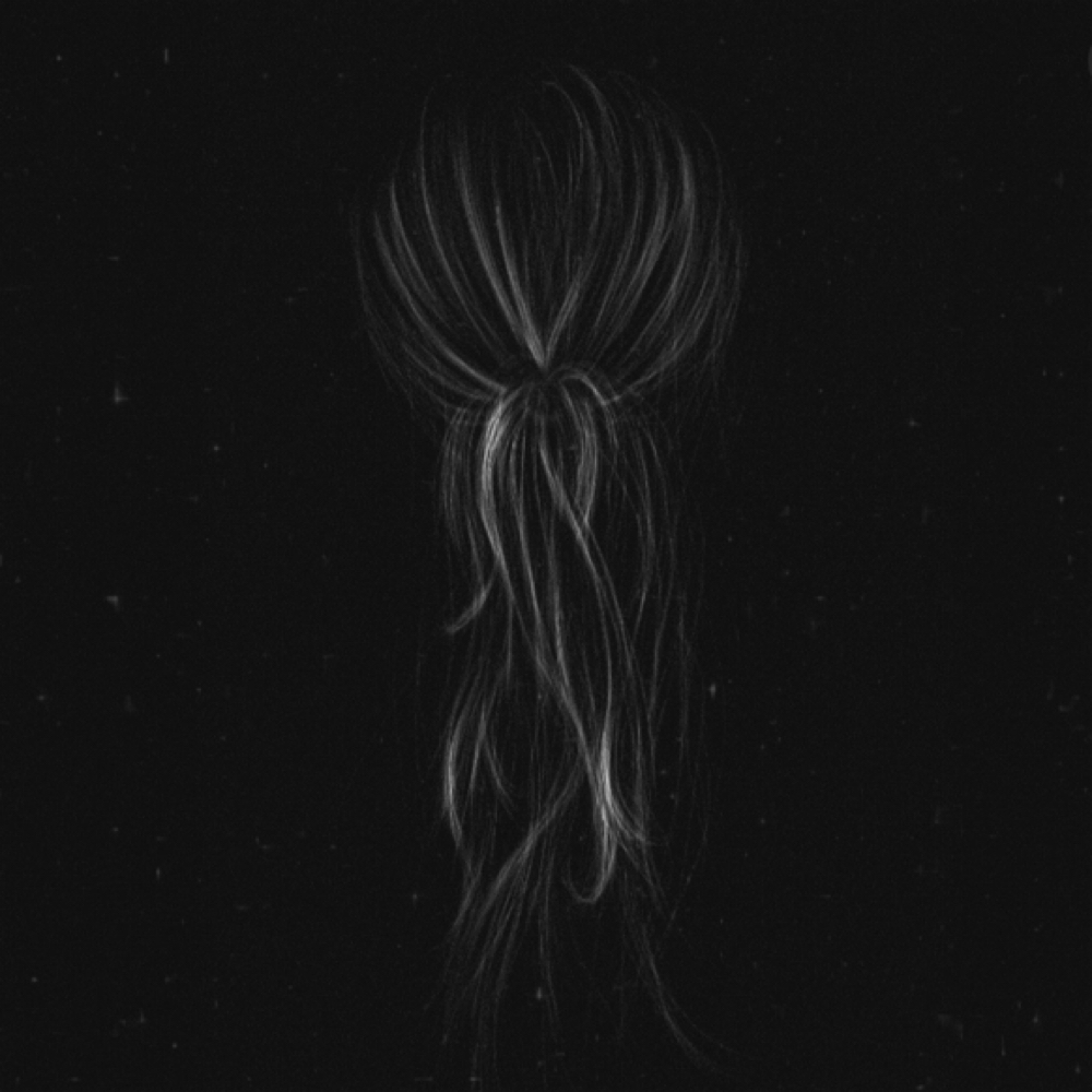 Extensions - Removal at Coastal House of Hair in Merritt Island, FL