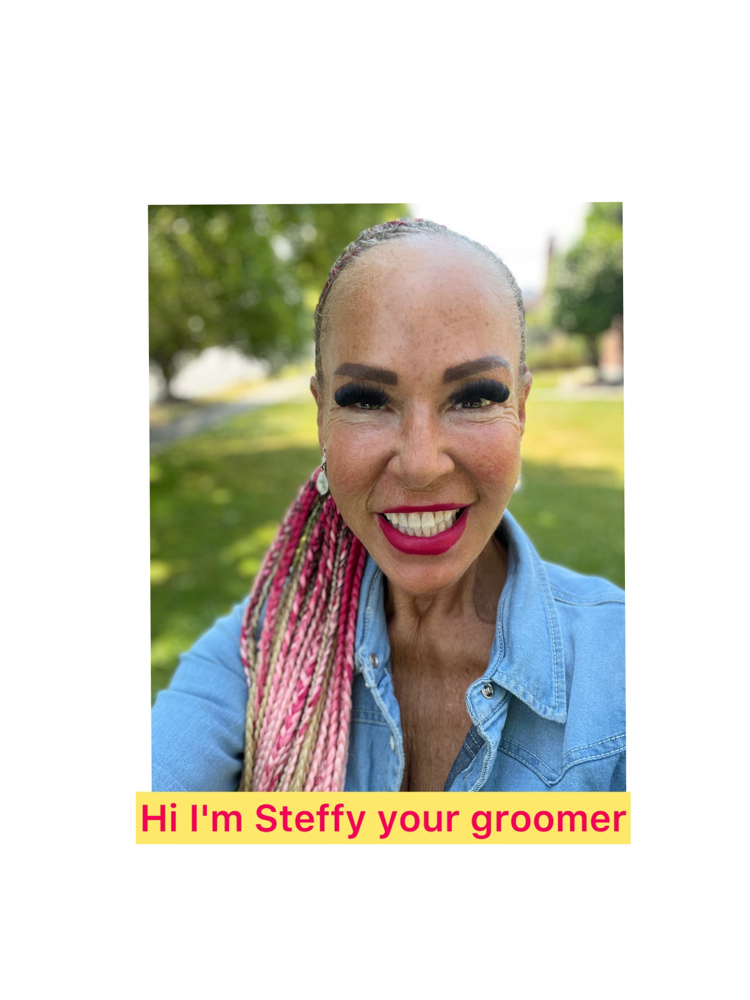 Hi Im Your Groomer Steffy