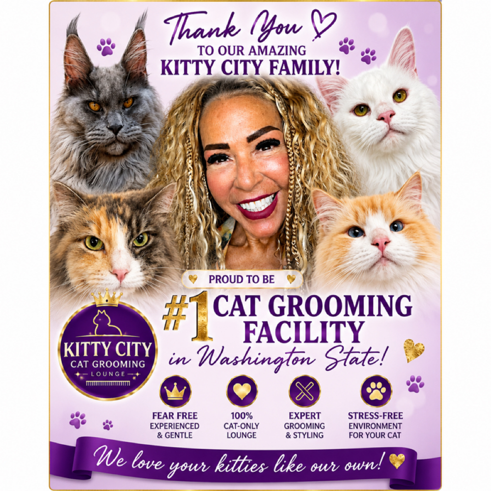 Hi Im Your Groomer Steffy at Kitty City Tacoma Cat Grooming in Tacoma, WA