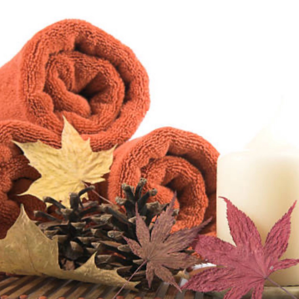 Autumn Renewal Back Facial at Shannon Dawn Esthetics in Marion, NC