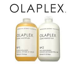 Olaplex Add On