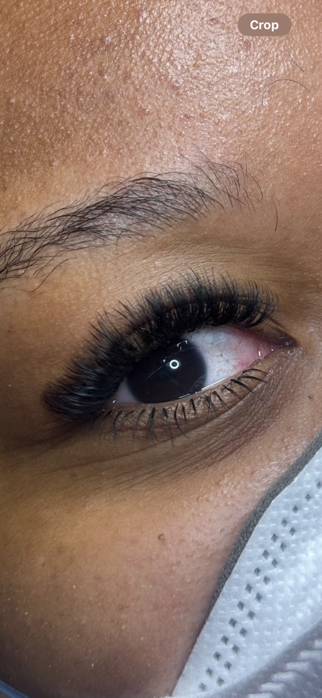 Bottom Lashes