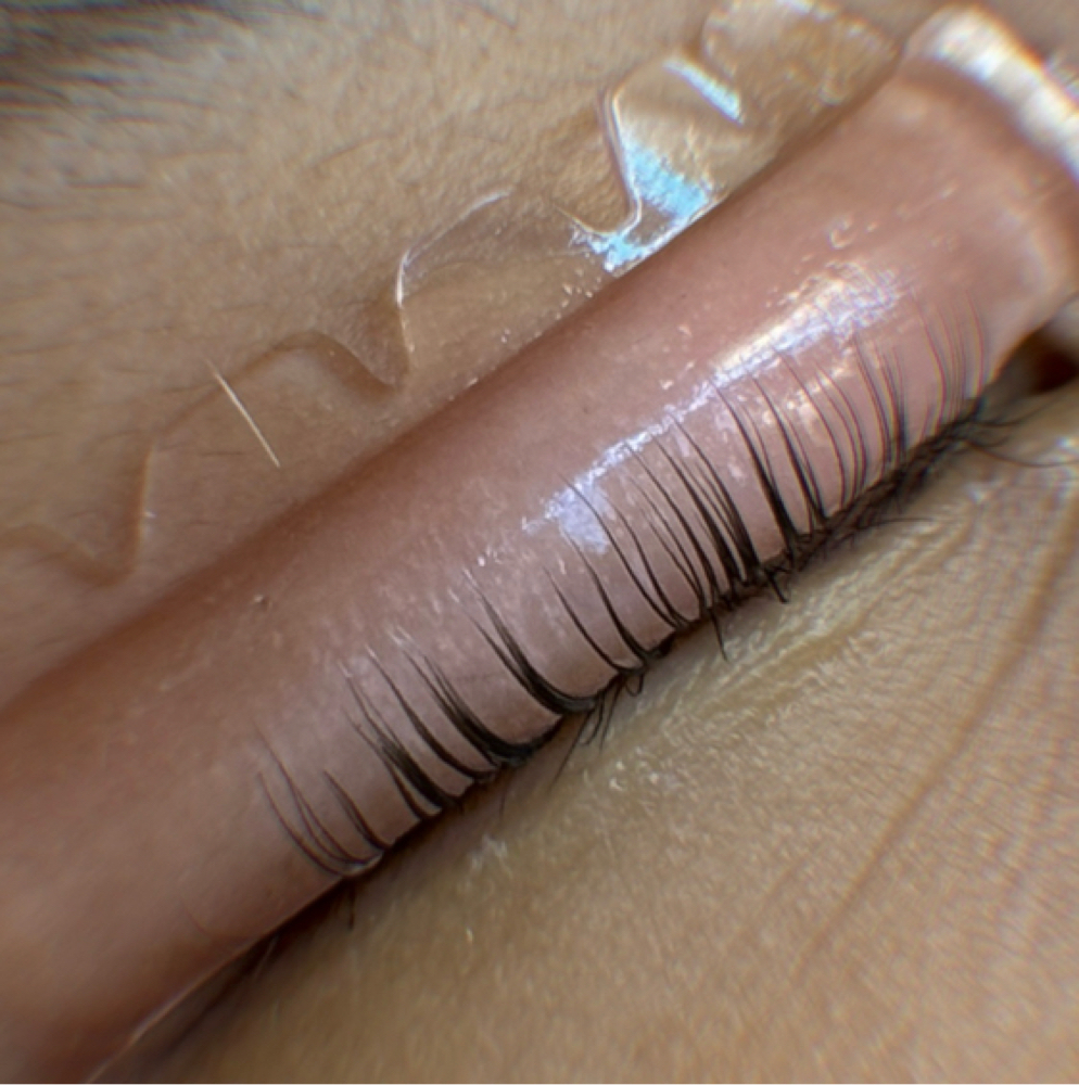 Korean Lash Lift MODEL at AmyEyesthetics Eyelash Extensions in Brookfield, WI