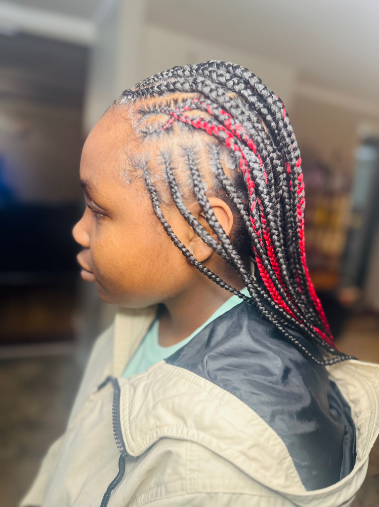 Braid Style With Knotless