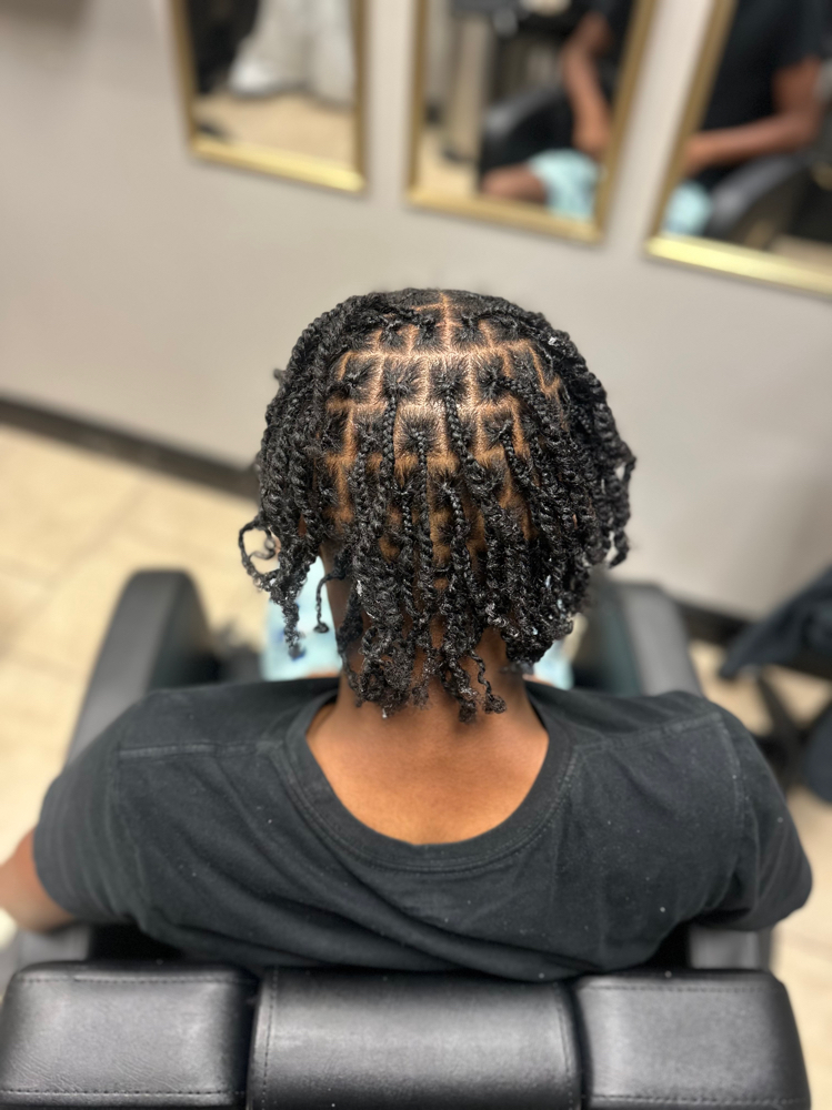 Starter Locs