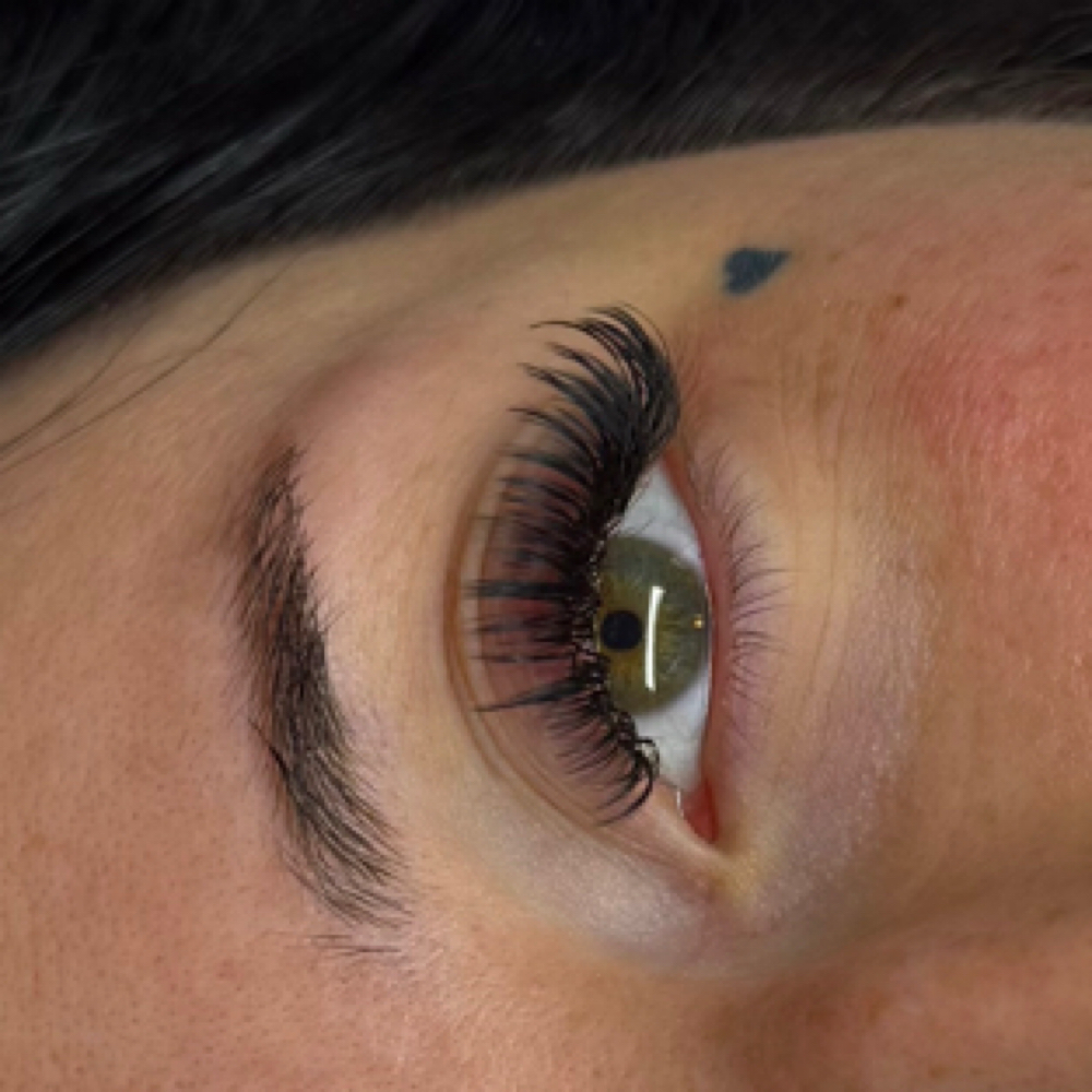 "Beyond Classic" lash fill at Lotus Esthetics LLC in Londonderry, NH