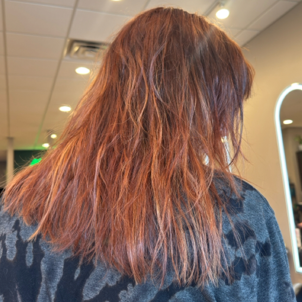 Color + Highlights at Beauty by Cammy in Milwaukee, WI