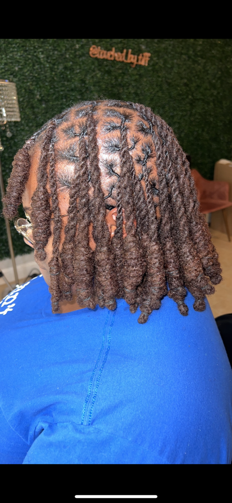 Braid set/2 strand twist locs ONLY