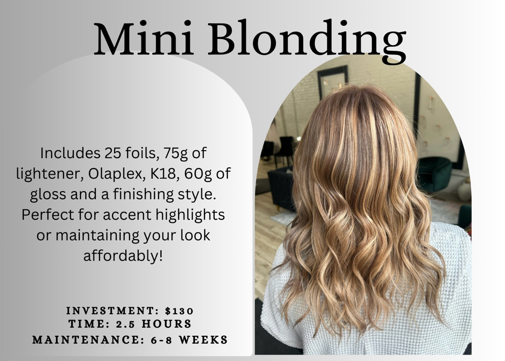 Mini Blonding