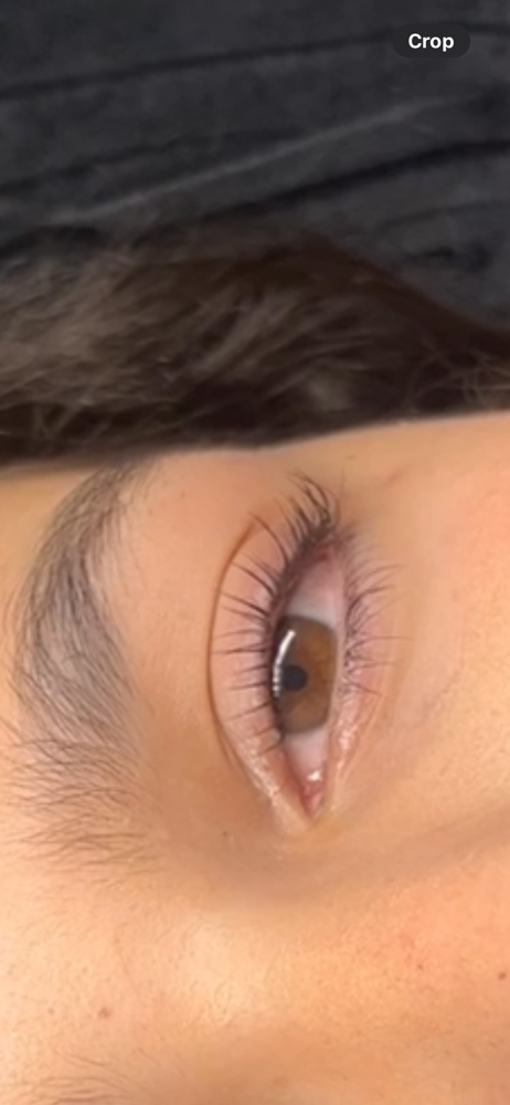 Lash Life + Tint