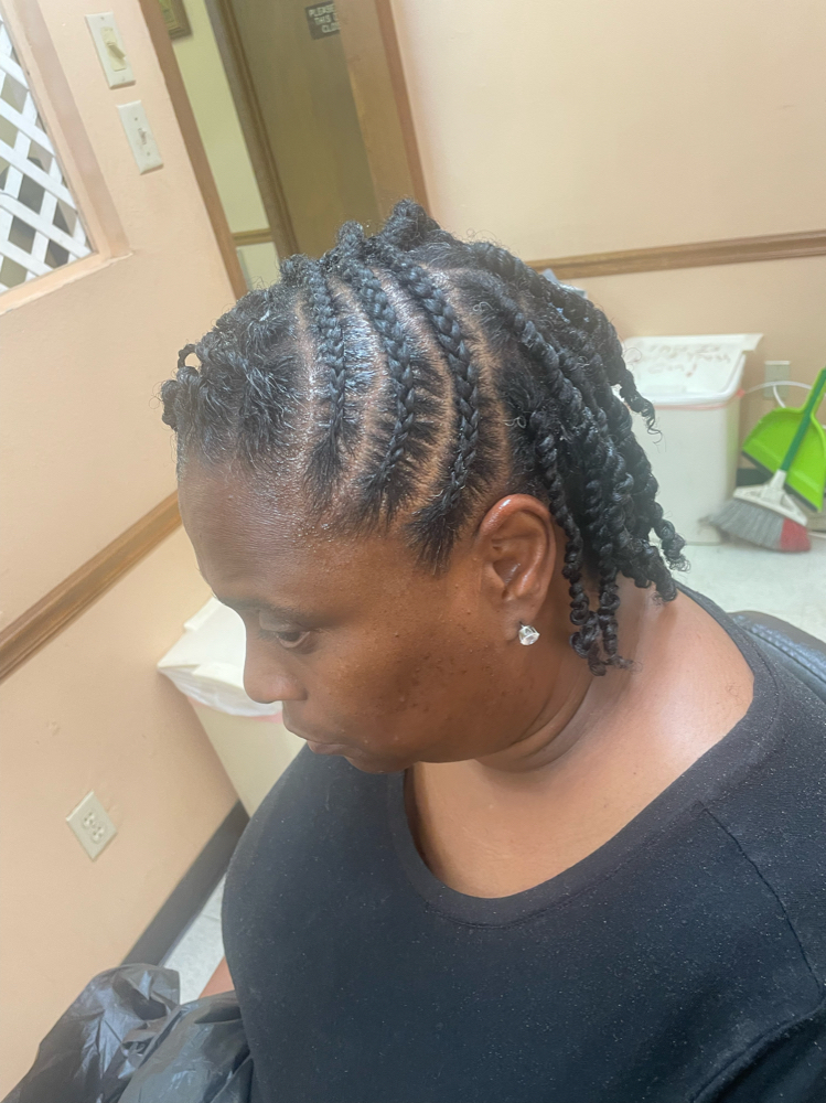 Flat Twist/ 2 Strand Natural Style