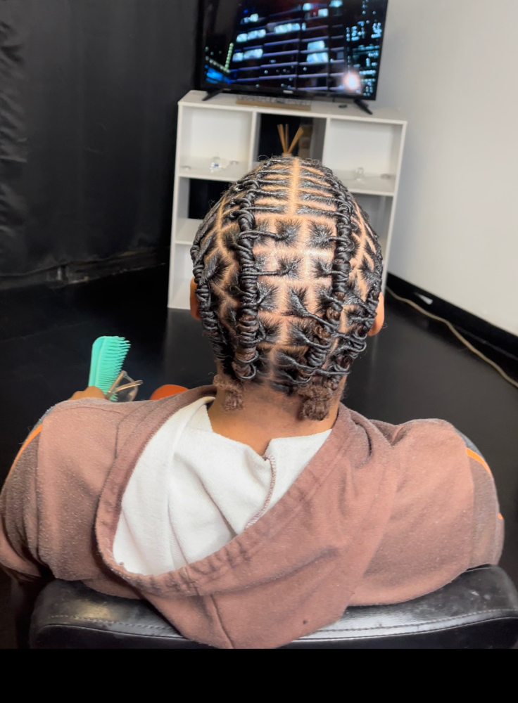 Starter Locs & Style