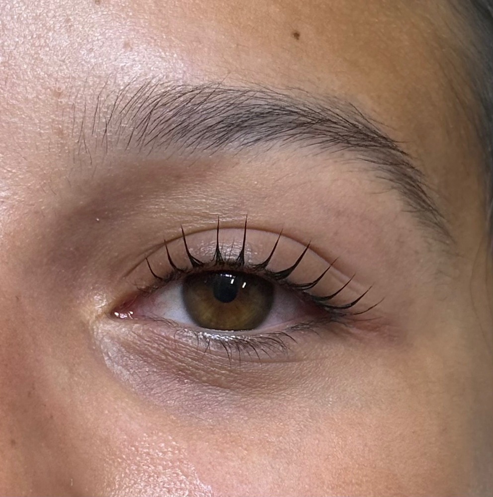 k lash lift