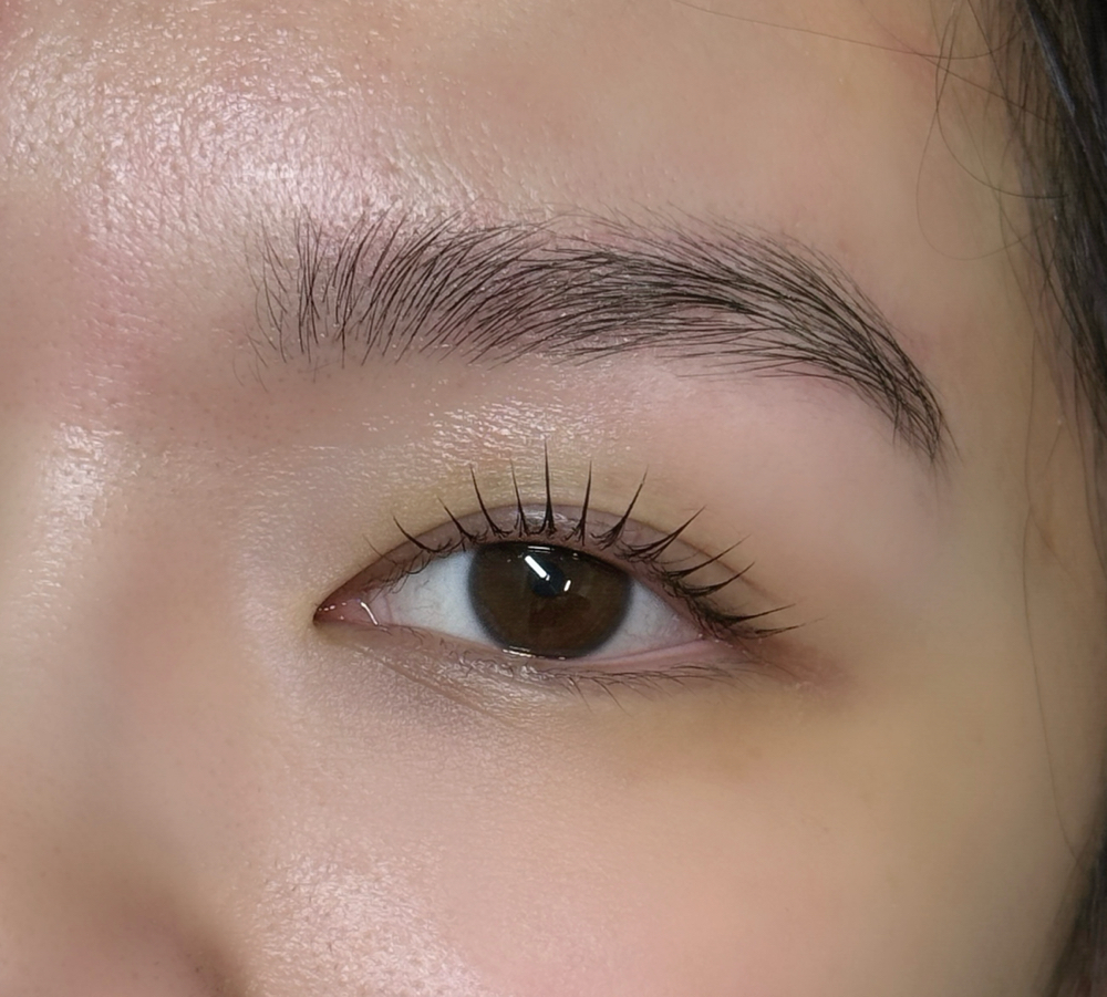 k lash lift