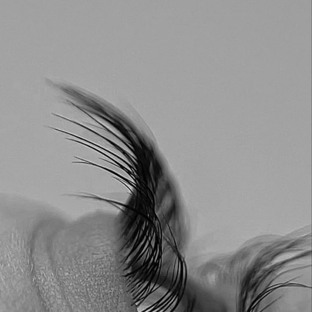 Dlux Korean Lash Lift+Free Tint at Faywood Esthetics in Franklin, TN
