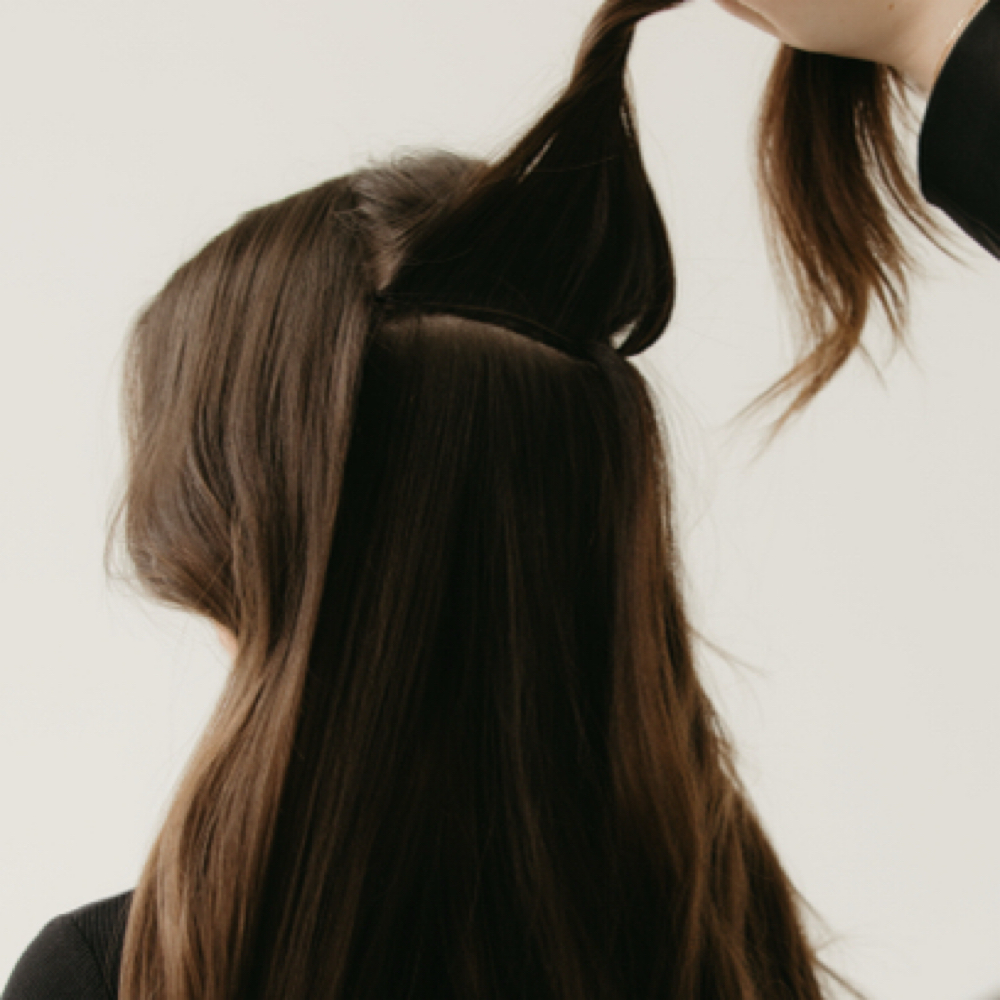 Extension Consultation at Alyssa Megan’s Mane Tribe in Bellevue, WA