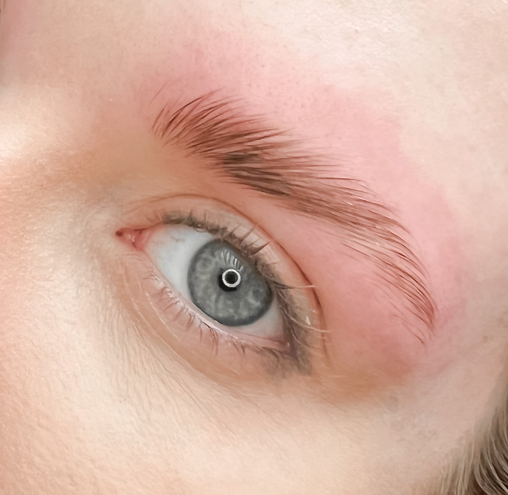 Brow Lami No Tint