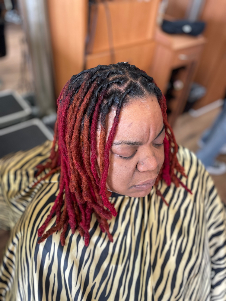 Ombre’ Color And Retwist (no style)