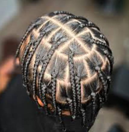 Plaits