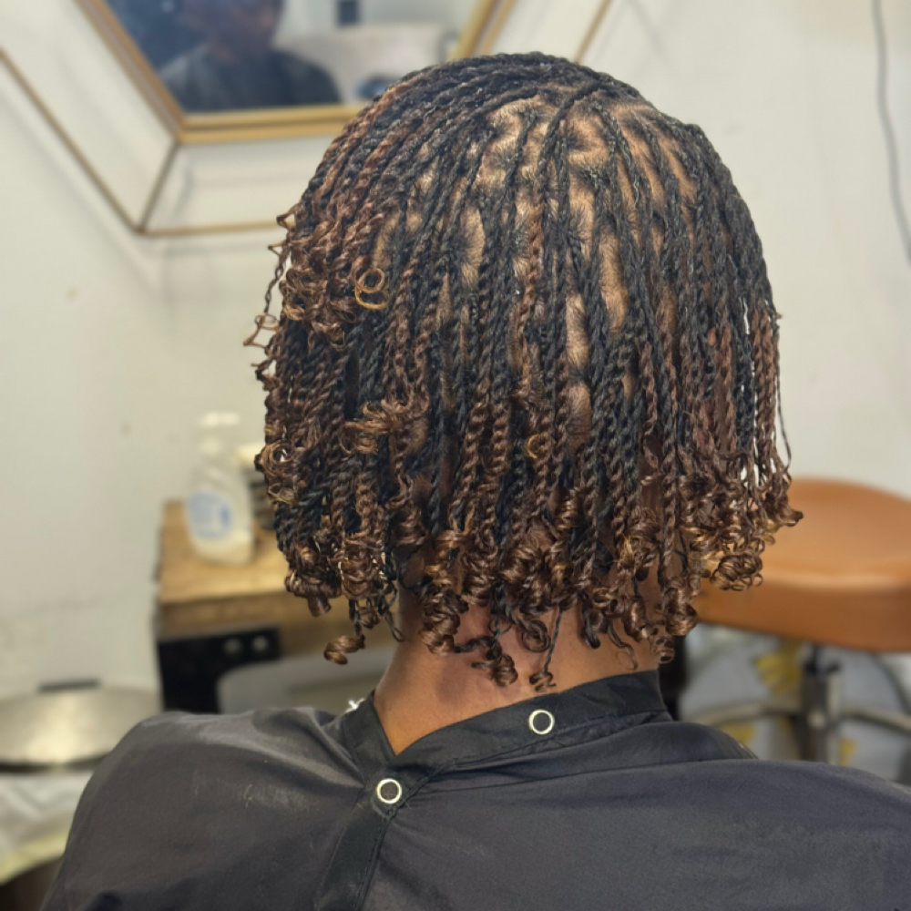 Mini Twist Style at Crystals and Curls Natural Hair Studio in Peachtree Corners, GA