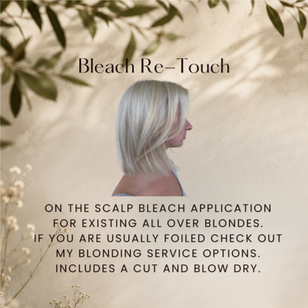 Bleach Re-Touch at Ashlee Holley Hair in San Marcos, TX