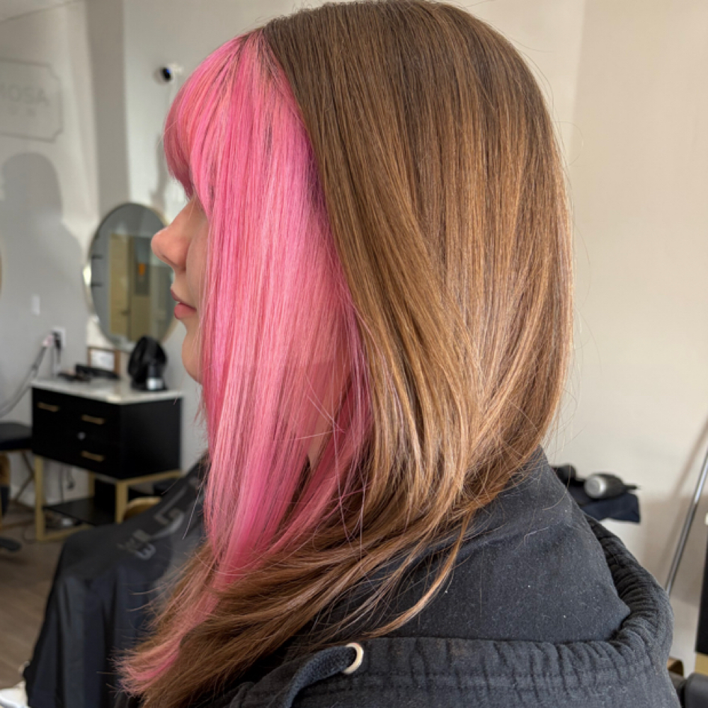 Color Block Pannel at CosmicCosmo @ Hairmosa Salon in Tucson, AZ