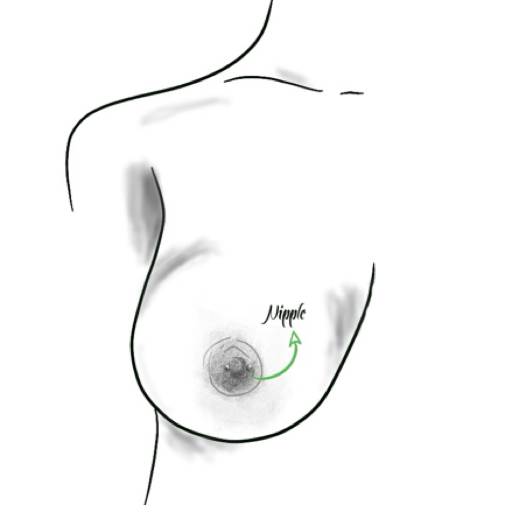 Nipples (Double/Paired) at Ethereal Adornments Pierced By Cambria in Murrieta, CA