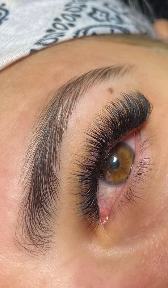 Volume Lash Extension at BEA.BEAUTY.BASH in Fort Myers, FL