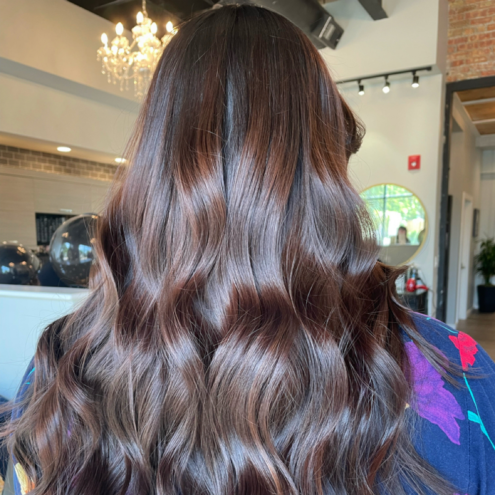 Shine Gloss Treatment & Blowout at BLOOM Beauty & Brows in Geneva, IL
