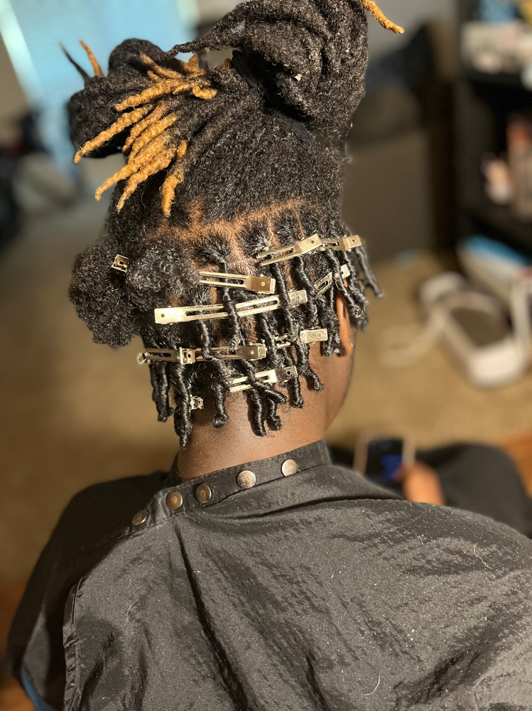 Starter Locs