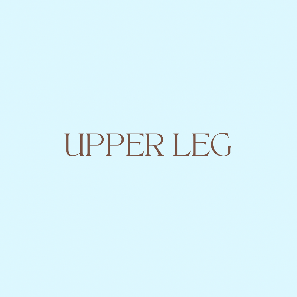 Upper Leg