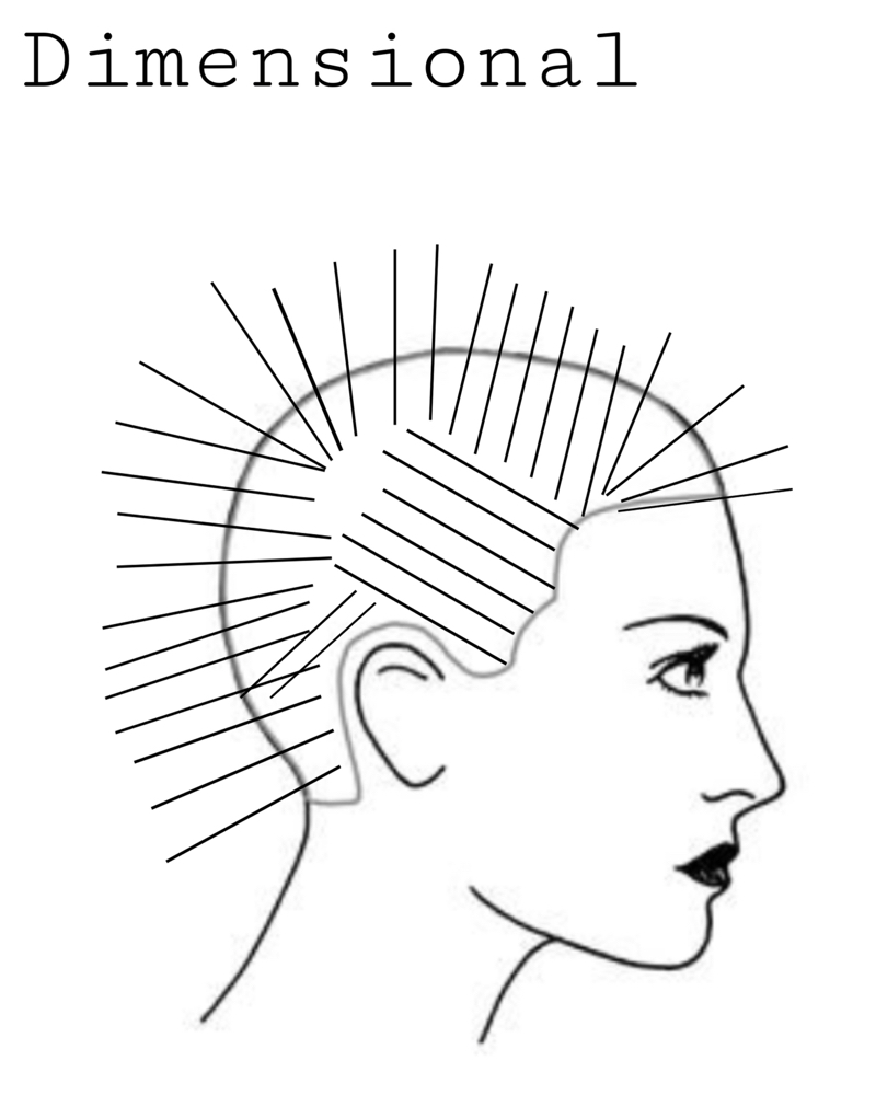 Highlights