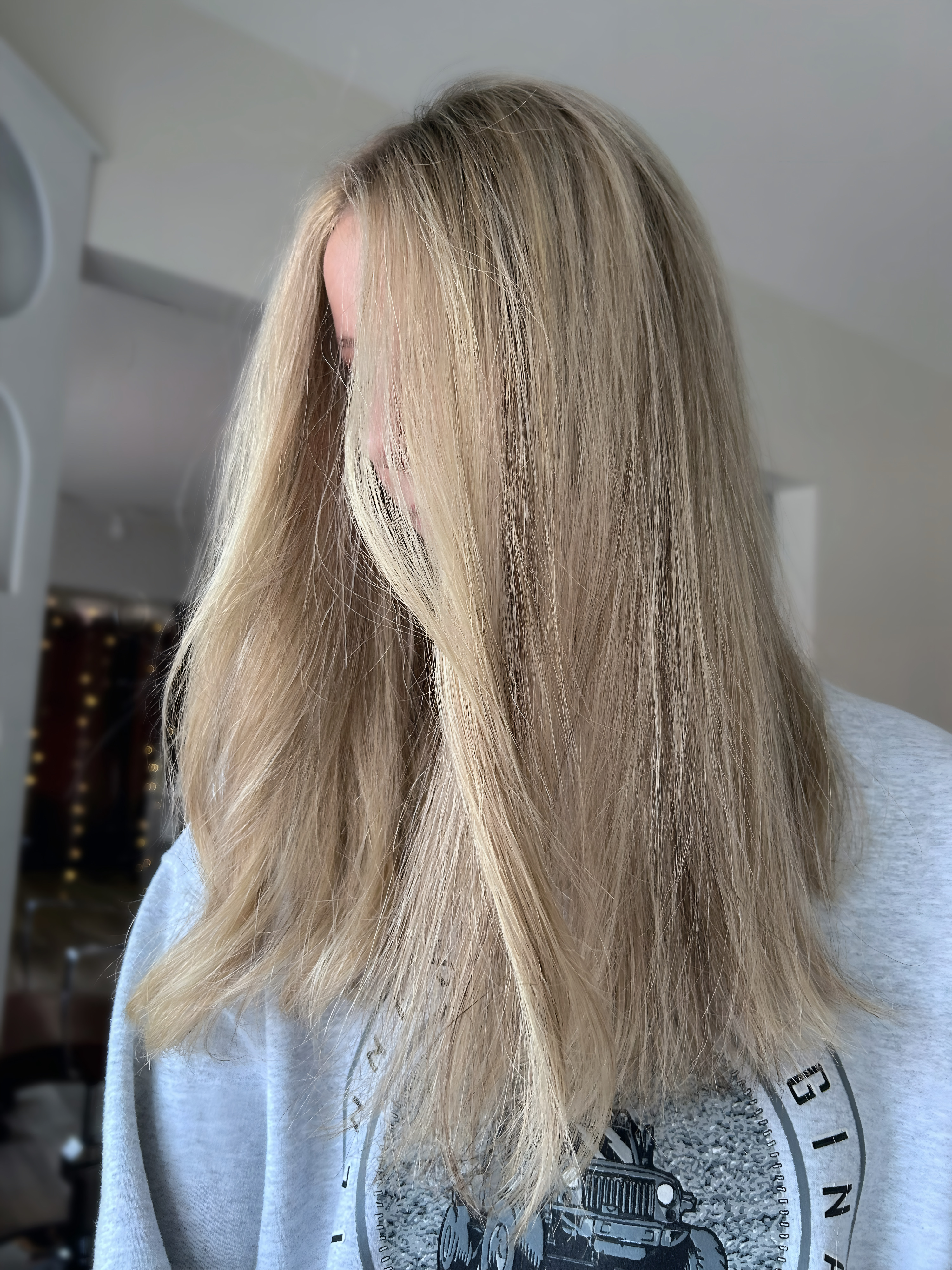 Gloss/Toner +Blowout