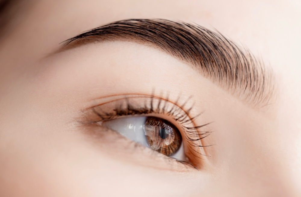 NANO BROWS ( Fallowing 6 Weeks)