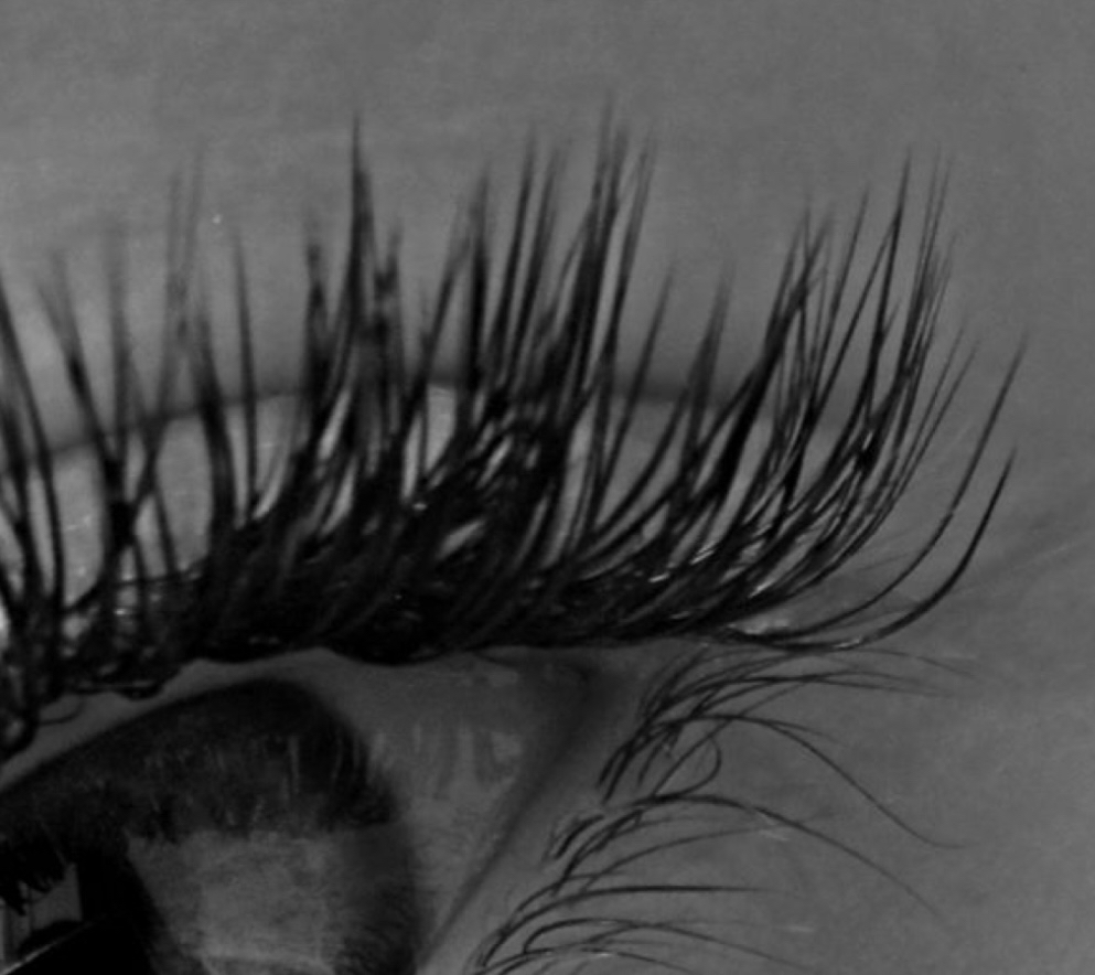 Lash Extension Fill