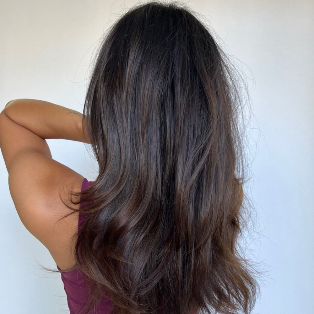 All Over Color at CoastalHair&CO in Tampa, FL